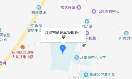 武漢市新洲高級職業(yè)中學地址在哪里、怎么走、乘車路線