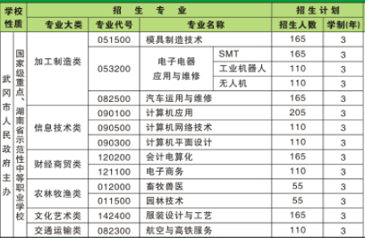 武岡市職業(yè)中專學校