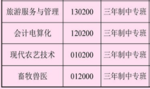 湖南省隆回縣職業(yè)中等專業(yè)學(xué)校招生專業(yè)