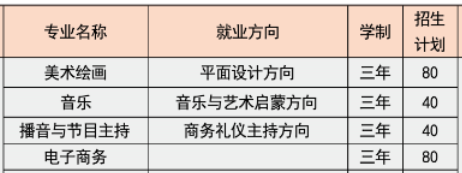 湖南長沙藝術(shù)學校、學校招生計劃