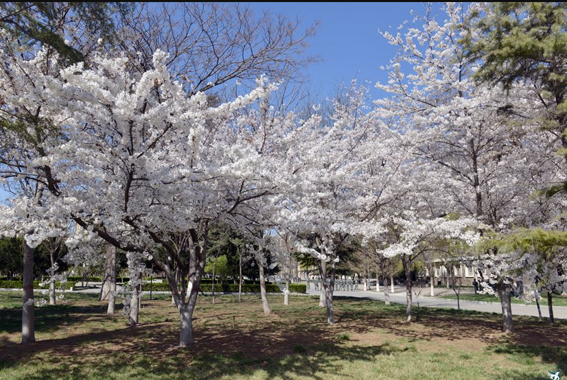 濮陽市油田職業(yè)中等專業(yè)學(xué)校