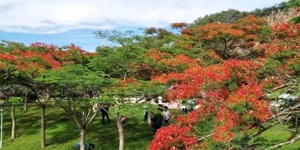 昆明市財經(jīng)商貿(mào)學校簡介、概況