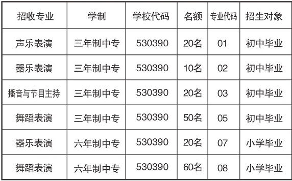 云南藝術學院附屬藝術學校、學校招生計劃