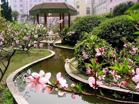 上海市經(jīng)濟管理學(xué)校環(huán)境、學(xué)校圖片