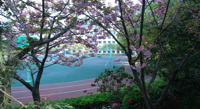 上?？萍脊芾韺W(xué)校好不好、怎么樣