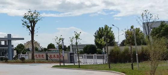 樂清市職業(yè)中等專業(yè)學(xué)校好不好、怎么樣