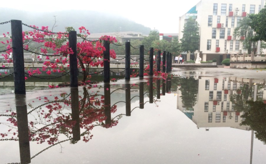 中山市中等專業(yè)學(xué)校好不好、怎么樣