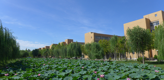 山東省文化藝術(shù)學(xué)校