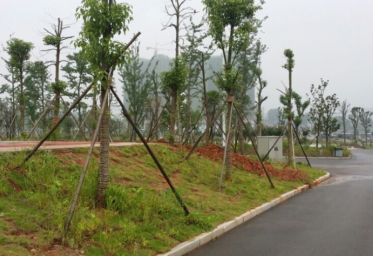 荔浦縣中等職業(yè)技術(shù)學校