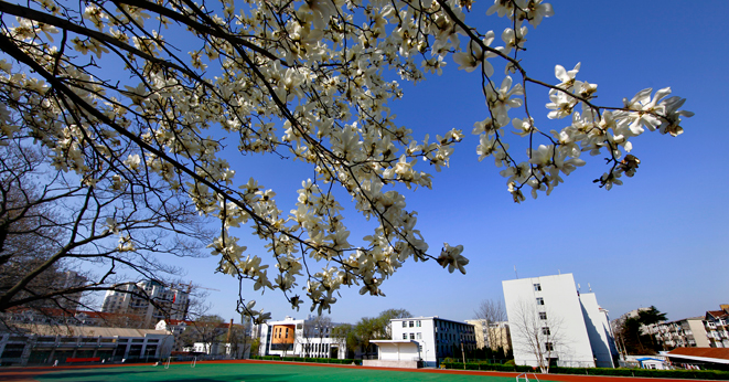 青島市黃島區(qū)高級(jí)職業(yè)技術(shù)學(xué)校