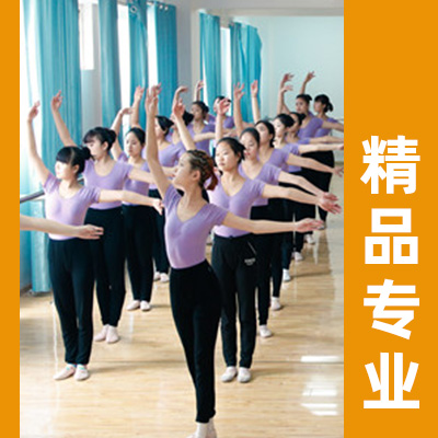 學(xué)學(xué)前教育專業(yè)就業(yè)方向有哪些